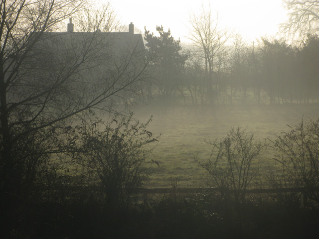 sunshine and mist by kate bailward
