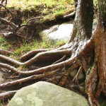 i megaliti dell'argimusco, kate bailward