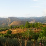 strada dei vini, etna, kate bailward