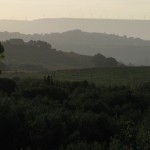 valley of the temples, agrigento, kate bailward