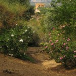 valley of the temples, agrigento, kate bailward