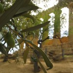 valley of the temples, agrigento, kate bailward