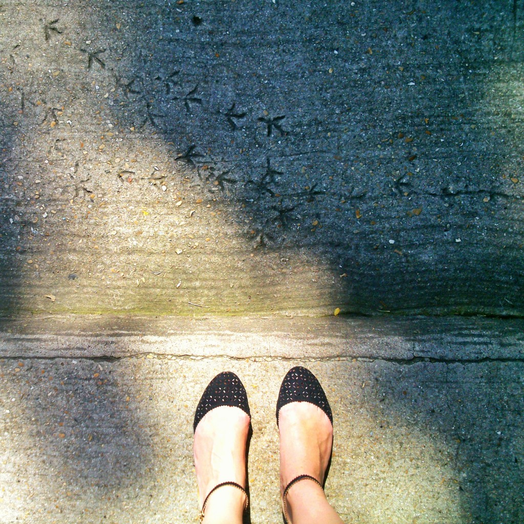 feet, light, shade, kate bailward